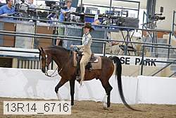 13r14_6716 proof
