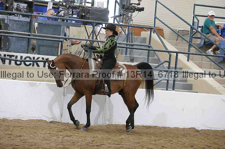 Proof 13r14_6718