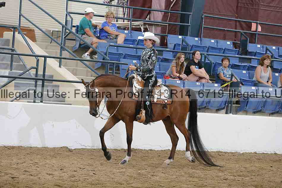 Proof 13r14_6719