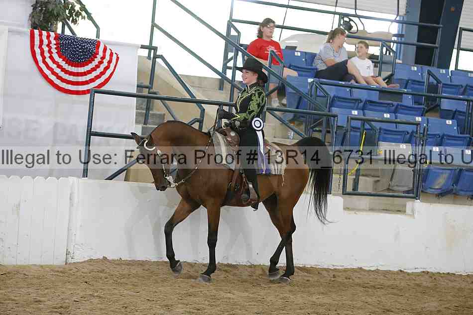 Proof 13r14_6731