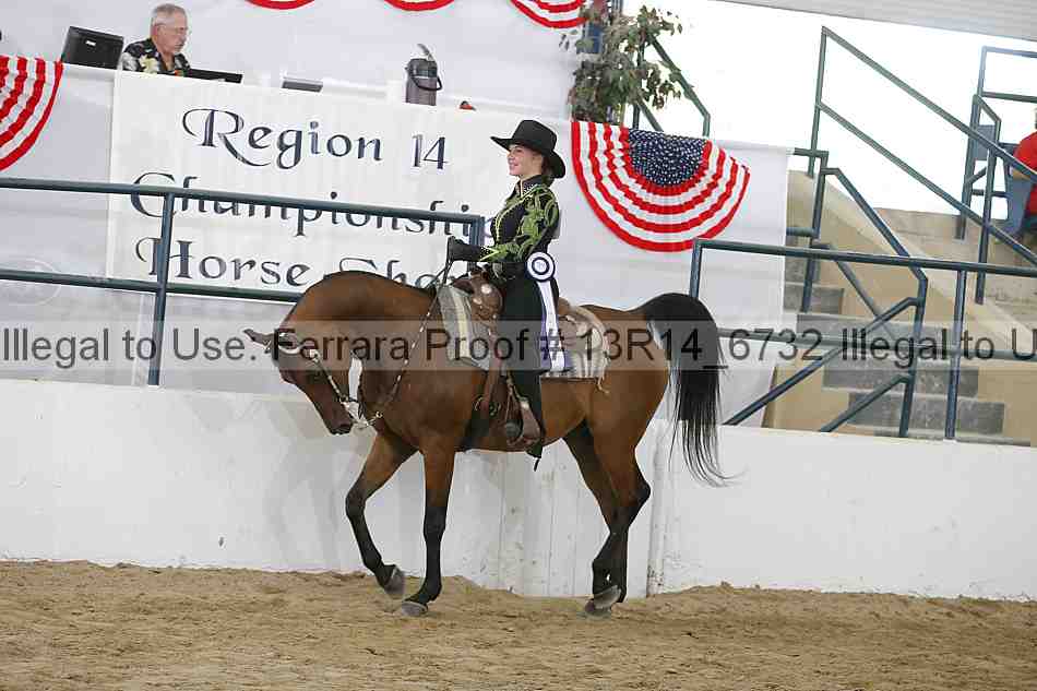 Proof 13r14_6732