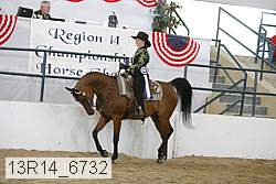 13r14_6732 proof