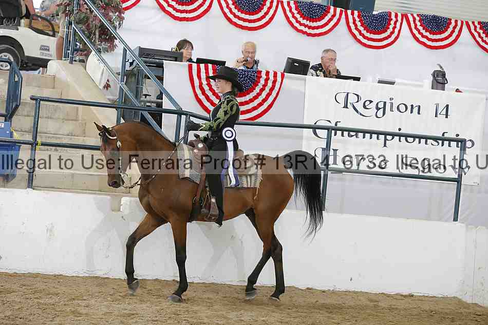 Proof 13r14_6733