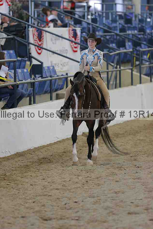 Proof 13r14_6745