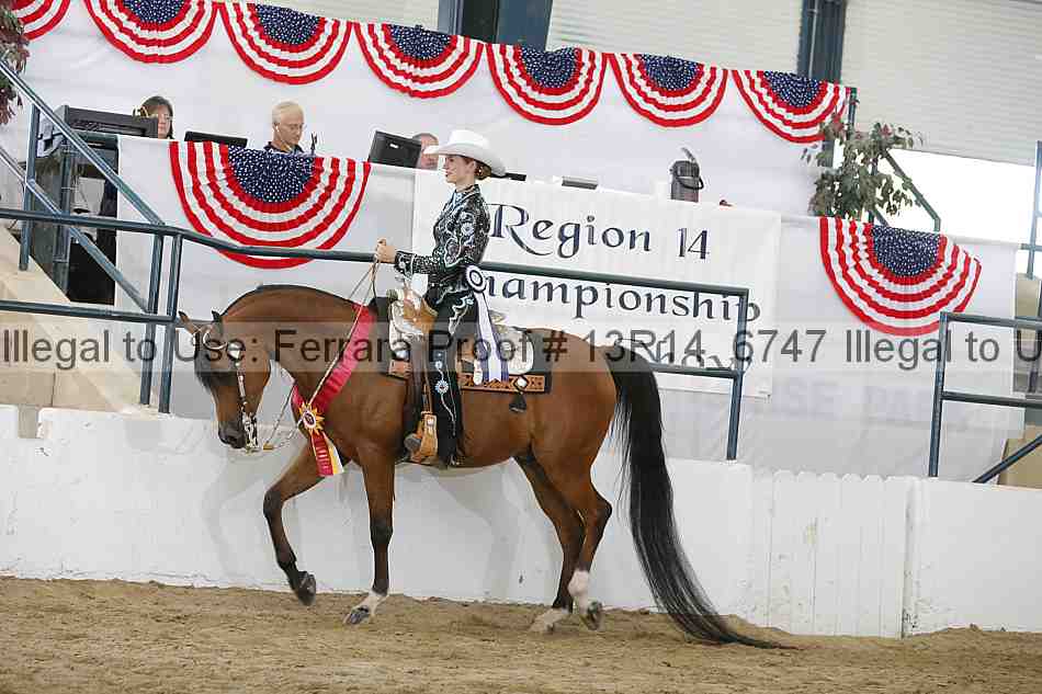 Proof 13r14_6747