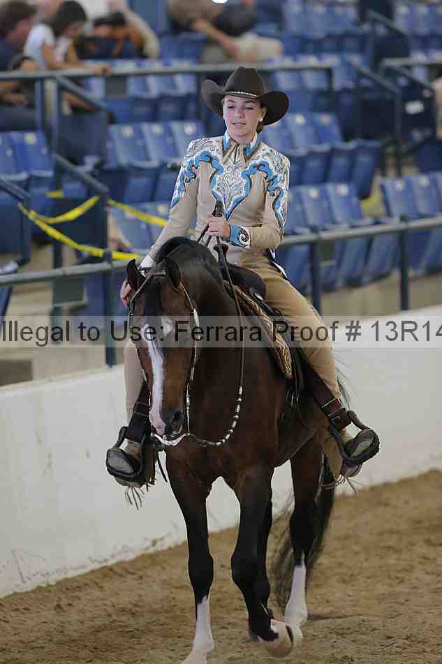 Proof 13r14_6749