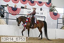 13r14_6753 proof