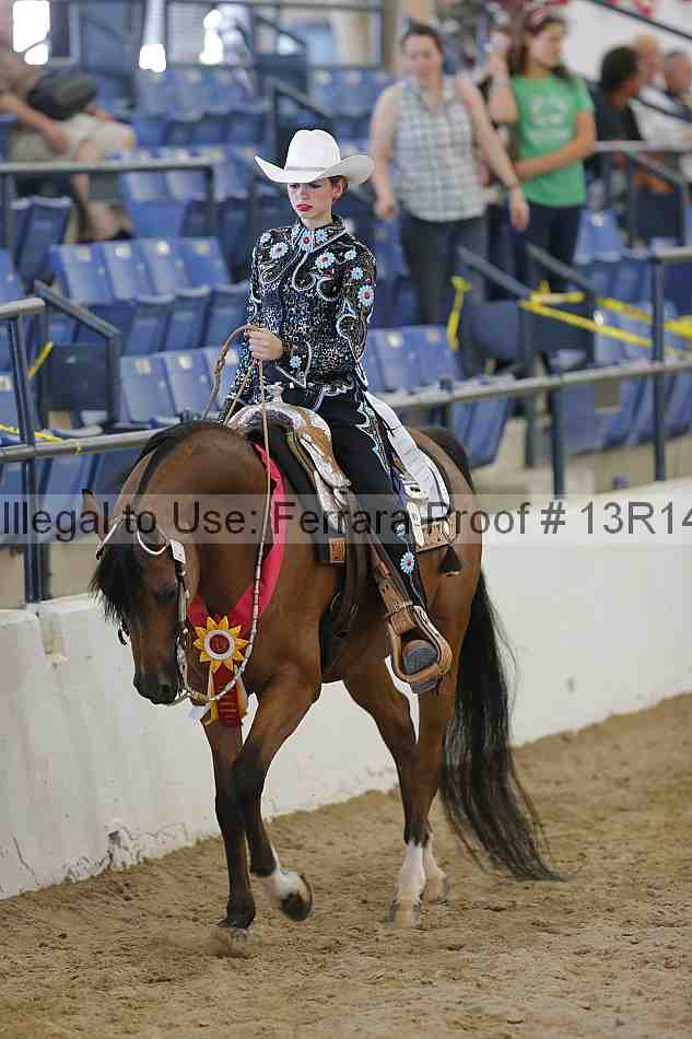 Proof 13r14_6754