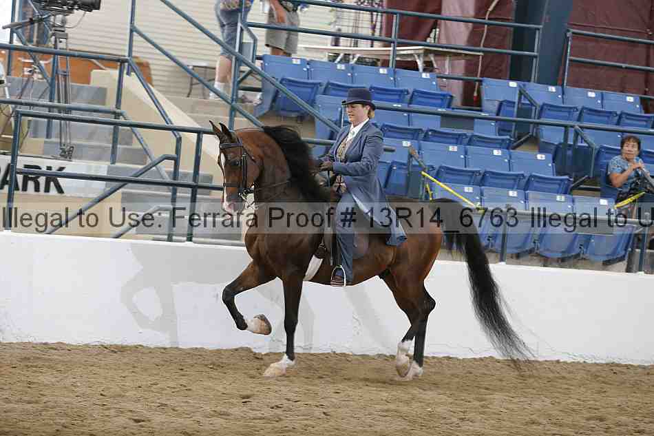 Proof 13r14_6763