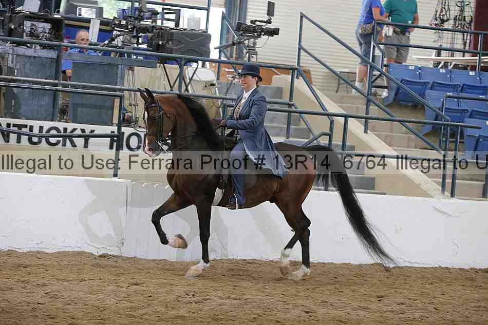 Proof 13r14_6764