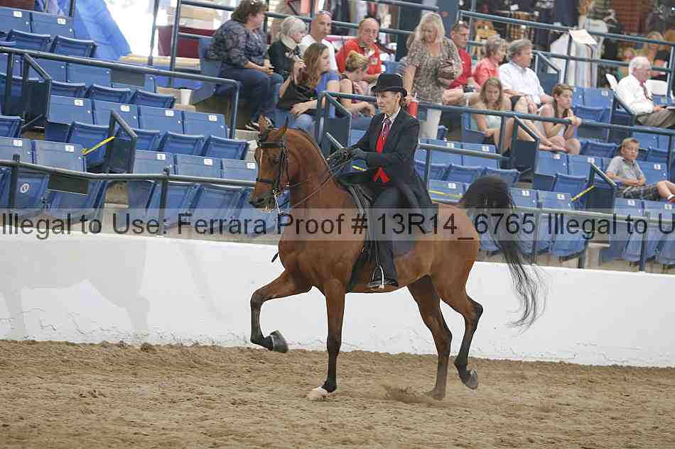 Proof 13r14_6765