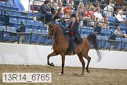 13r14_6765 proof
