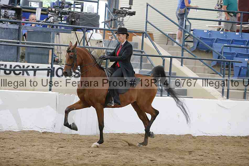 Proof 13r14_6767