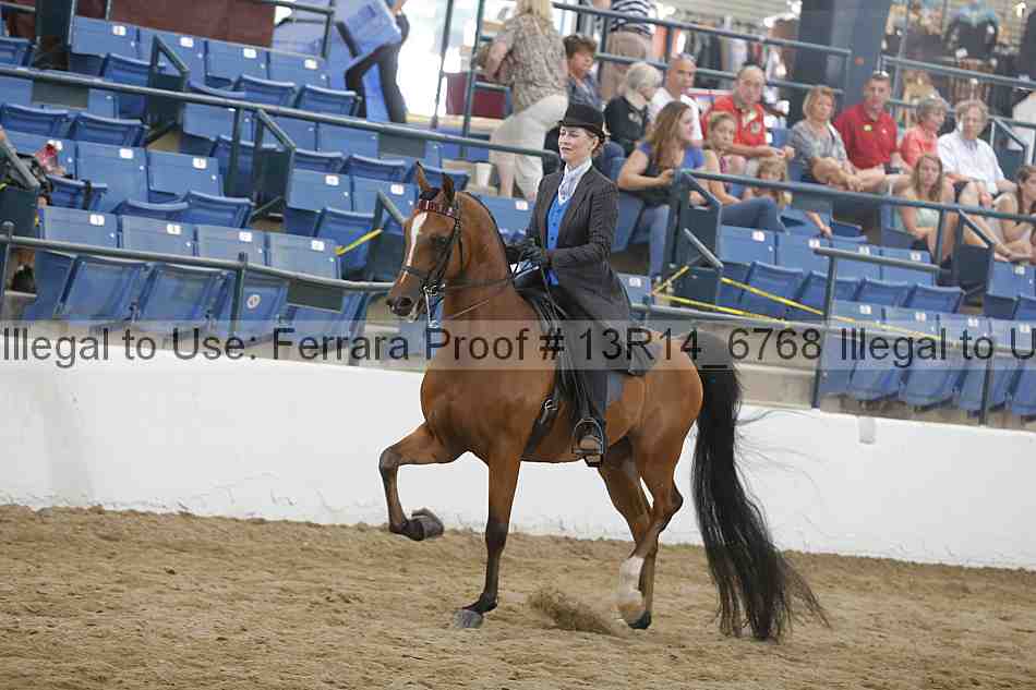 Proof 13r14_6768