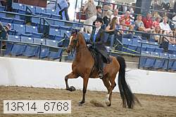 13r14_6768 proof