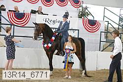 13r14_6771 proof