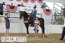 13r14_6772 proof
