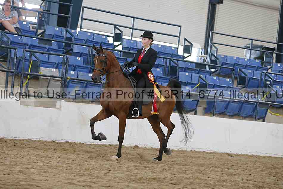 Proof 13r14_6774