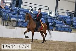13r14_6774 proof
