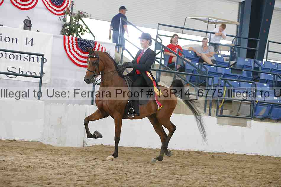 Proof 13r14_6775
