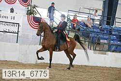13r14_6775 proof
