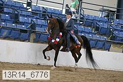 13r14_6776 proof