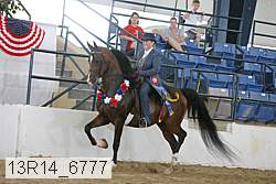 13r14_6777 proof
