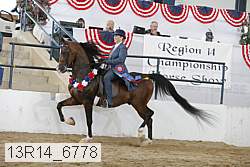 13r14_6778 proof