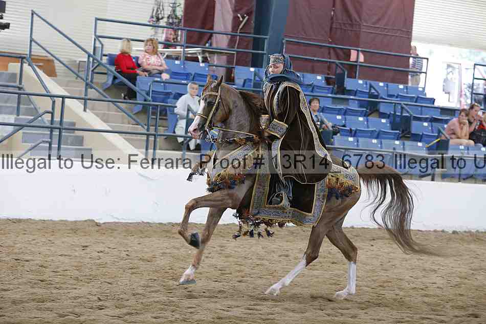 Proof 13r14_6783