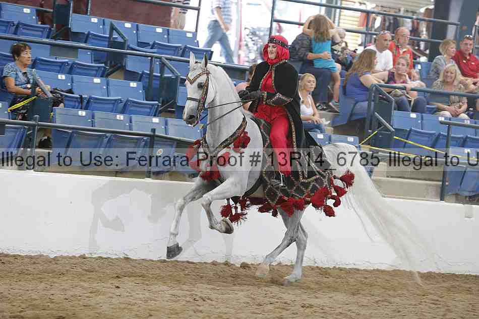 Proof 13r14_6785