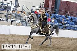 13r14_6786 proof