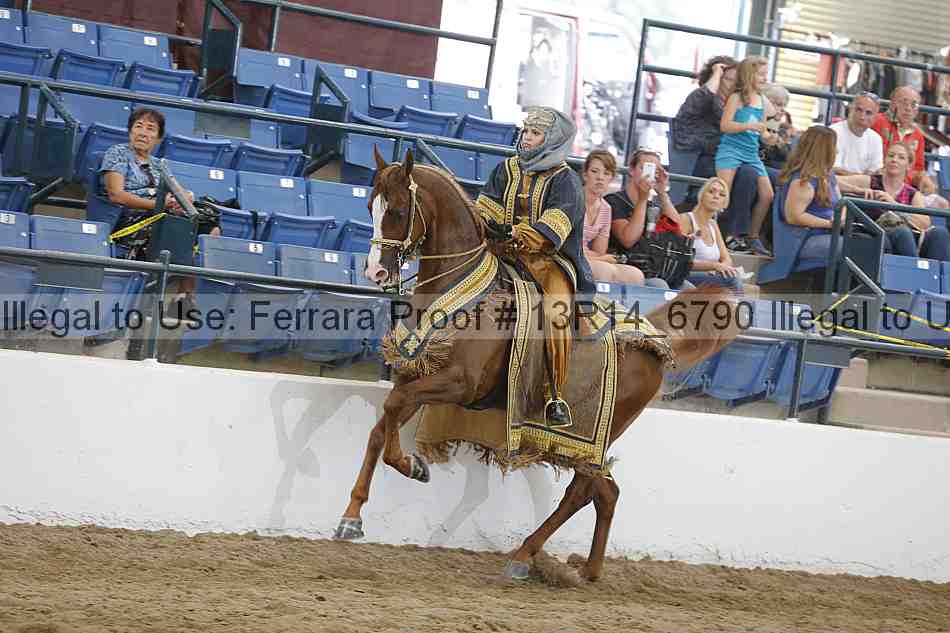 Proof 13r14_6790