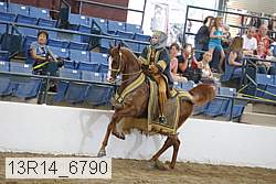 13r14_6790 proof