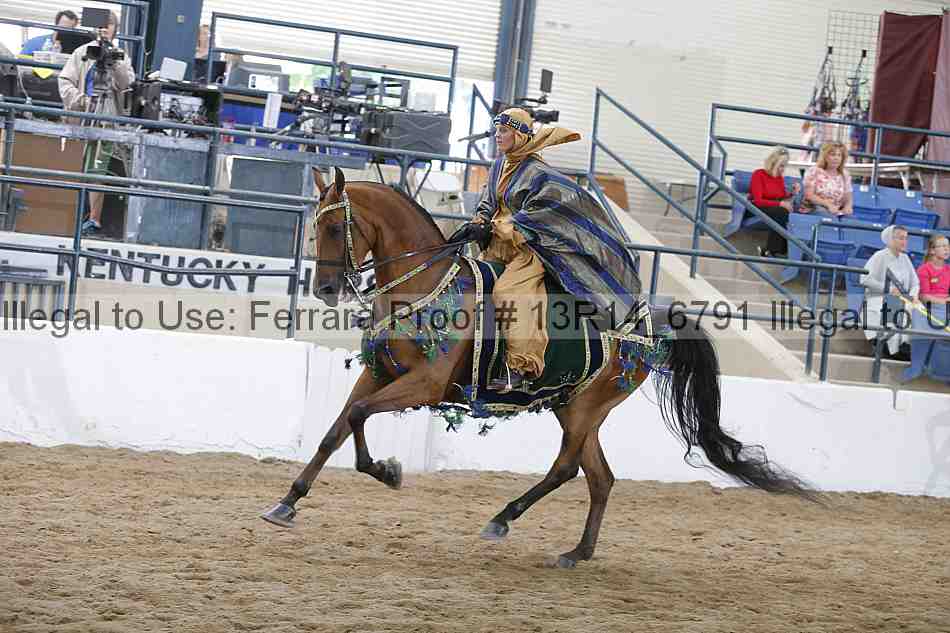 Proof 13r14_6791