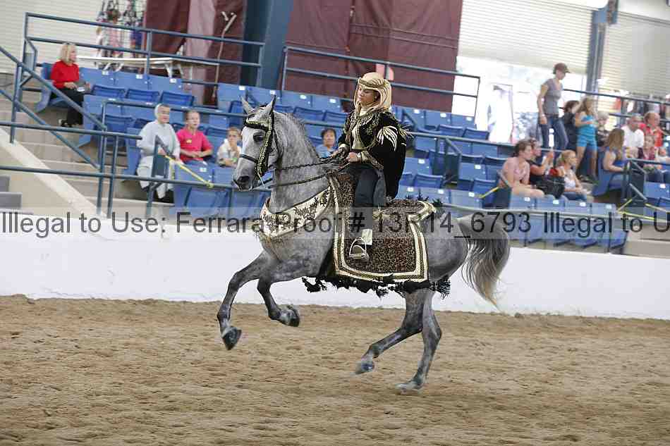 Proof 13r14_6793