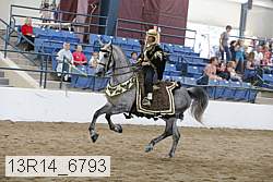 13r14_6793 proof
