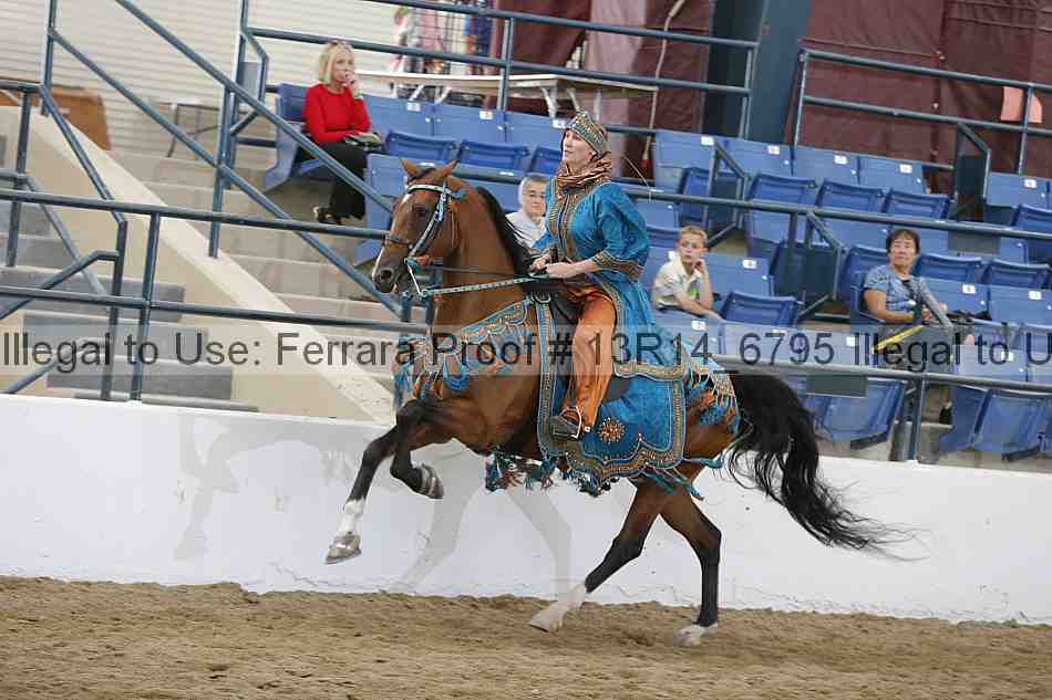 Proof 13r14_6795