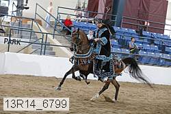 13r14_6799 proof