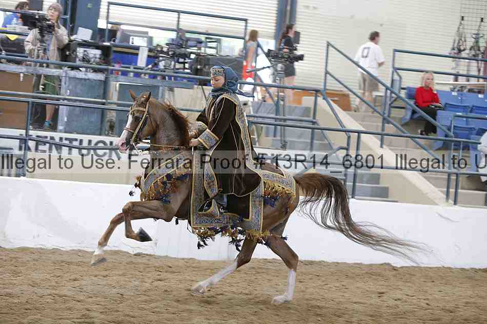 Proof 13r14_6801