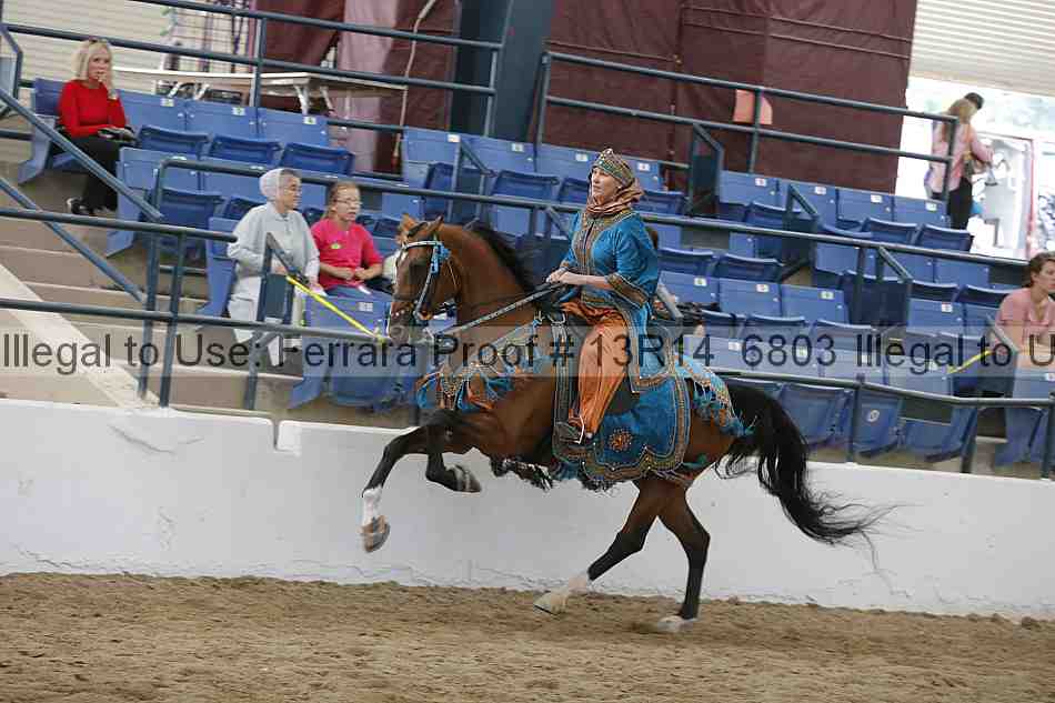 Proof 13r14_6803