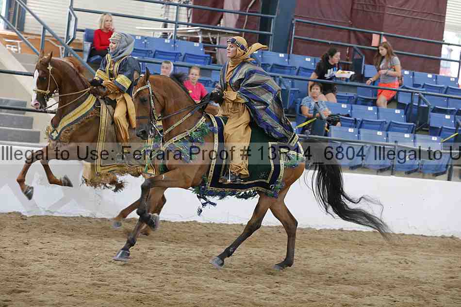 Proof 13r14_6804