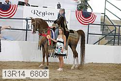 13r14_6806 proof