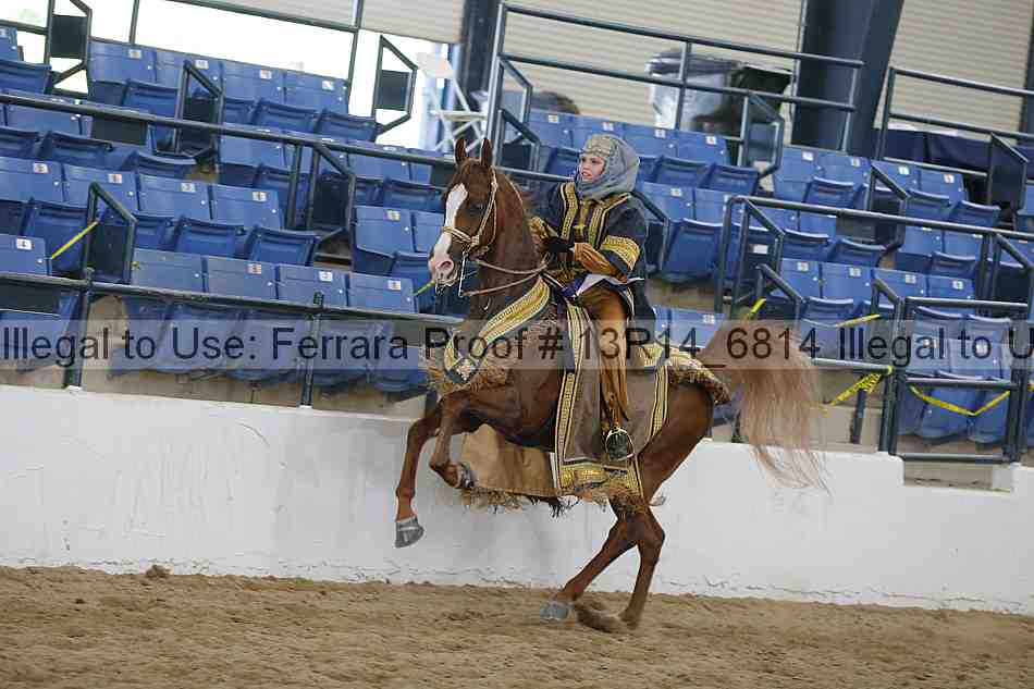 Proof 13r14_6814