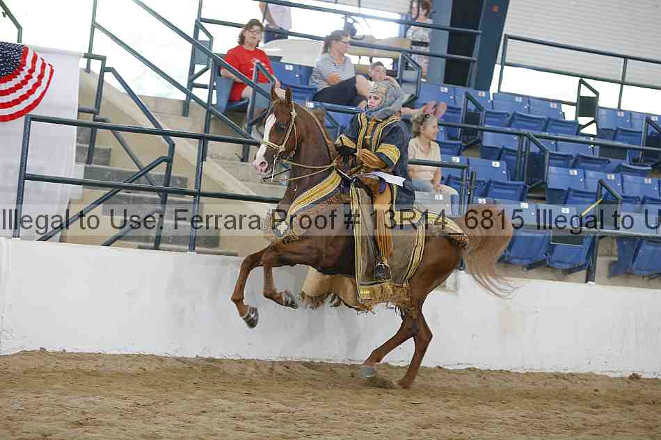 Proof 13r14_6815