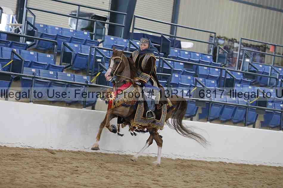 Proof 13r14_6817