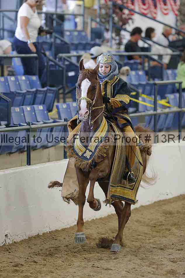 Proof 13r14_6818