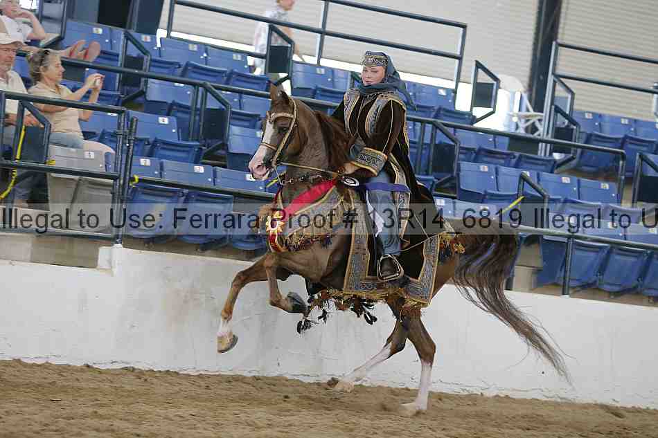 Proof 13r14_6819