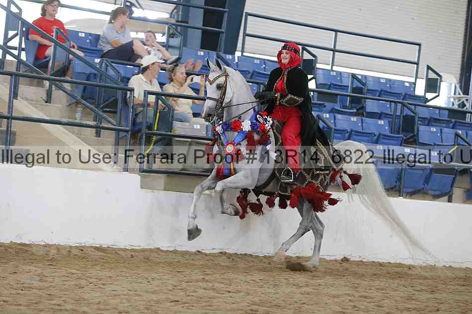Proof 13r14_6822