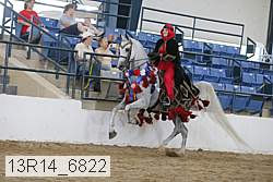 13r14_6822 proof