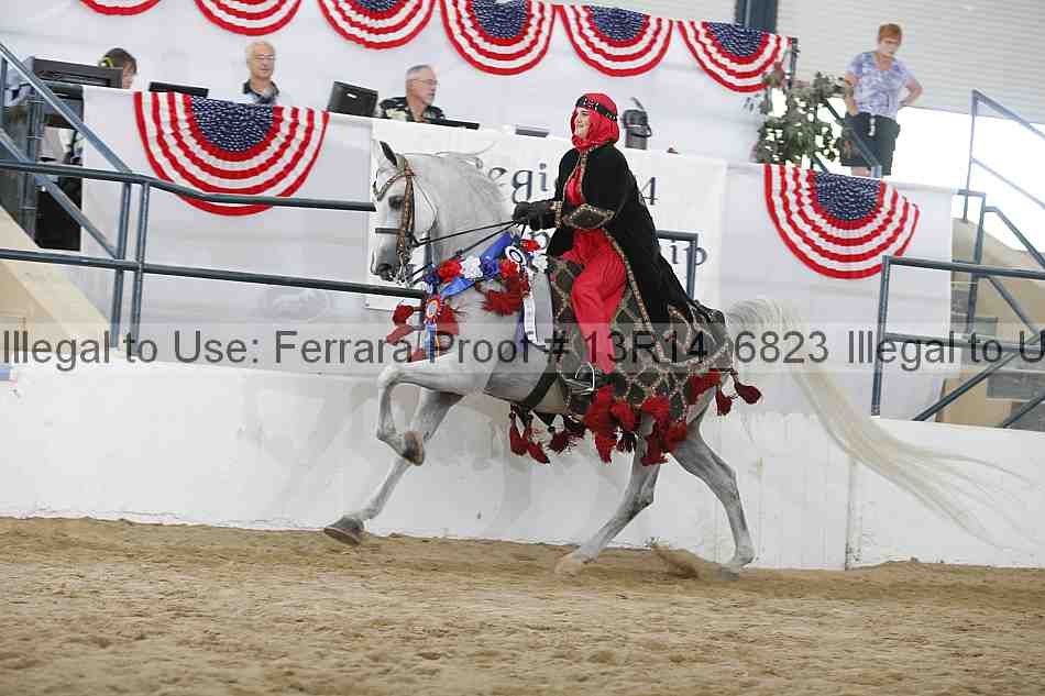 Proof 13r14_6823